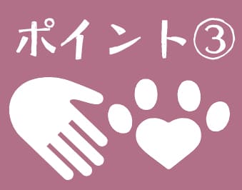 ポイント３