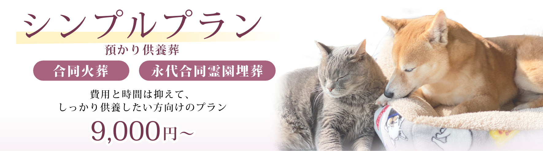 シンプルプラン　合同火葬・永代合同供養　8,800円〜